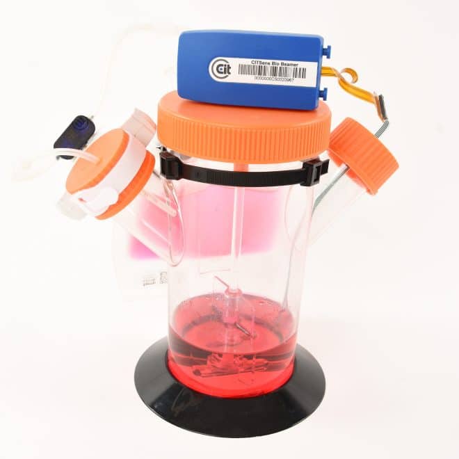 CITSens Bio disposable glucose sensor in spinner flask